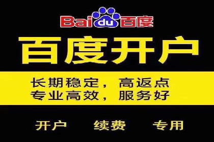SEM推广公司案例：助力企业实现品牌价值提升
